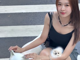哈基米拯救世界